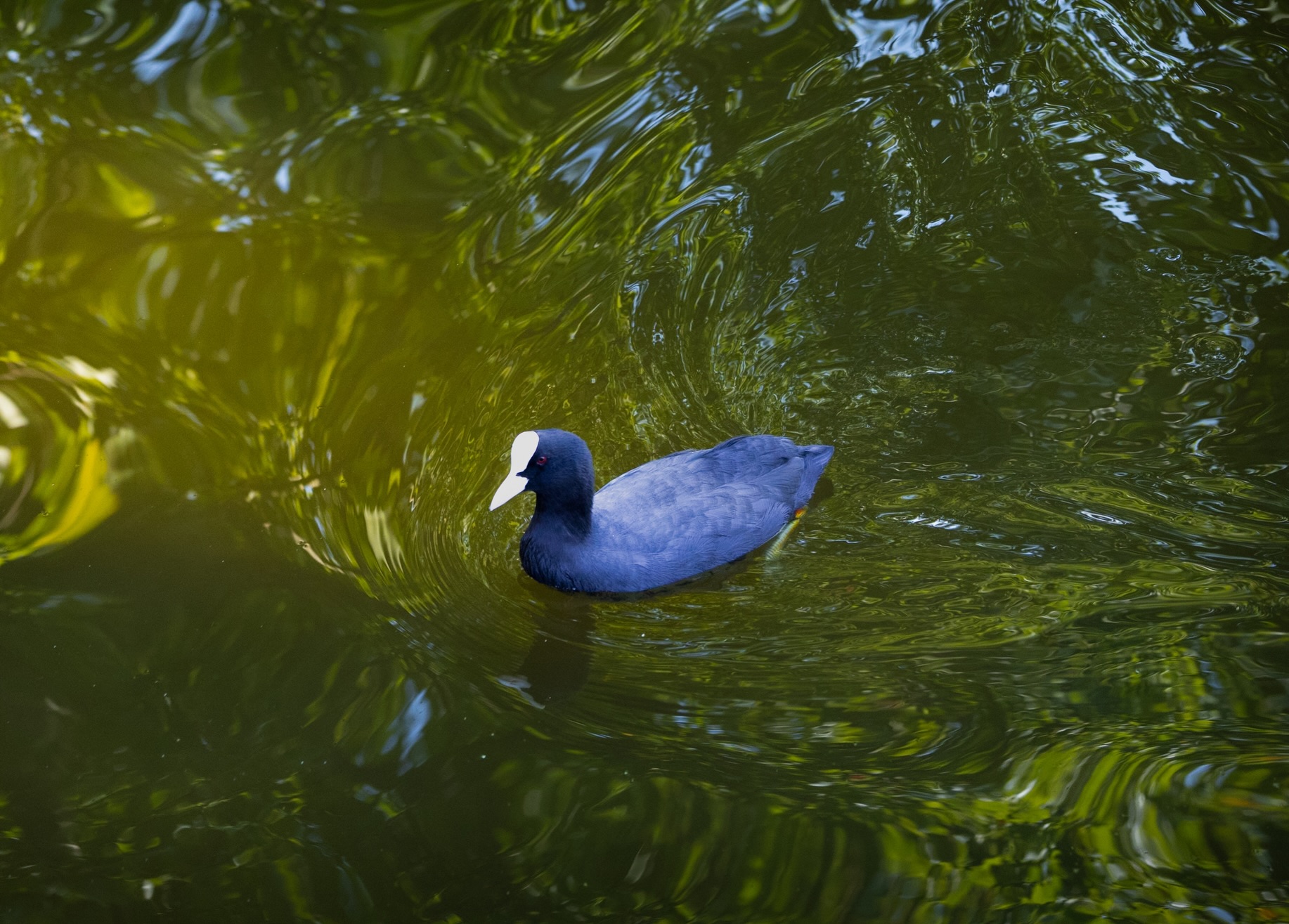 Portfolio foto 03